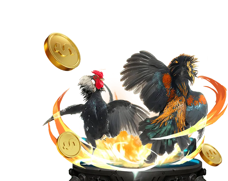 Lợi thế thương hiệu đá gà trực tiếp cua dao